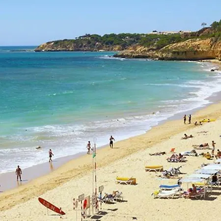 241 Oliveiras Terraces *