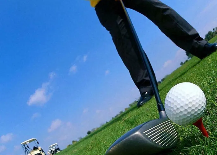 דירה 241 Oliveiras Terraces *