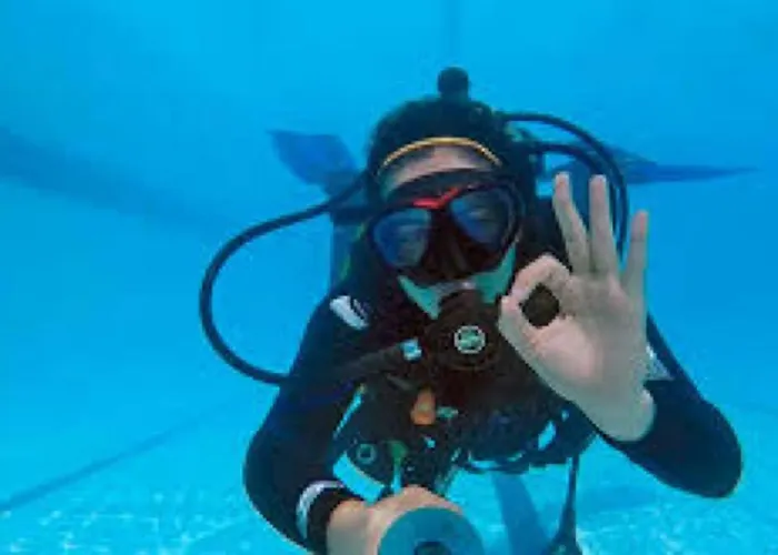 241 Oliveiras Terraces Lägenhet *