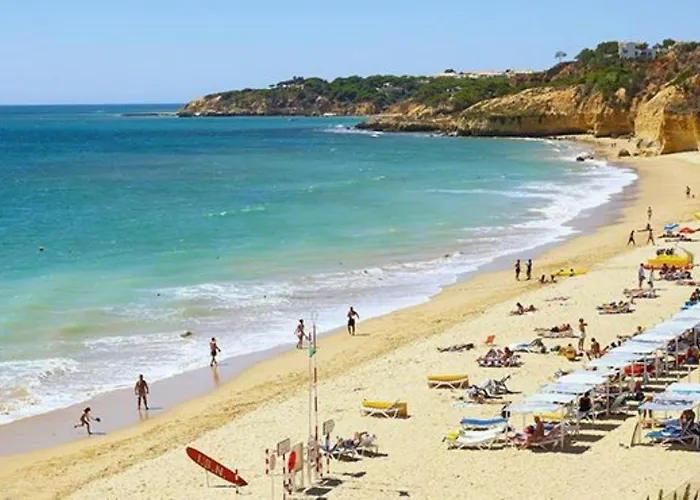 241 Oliveiras Terraces *